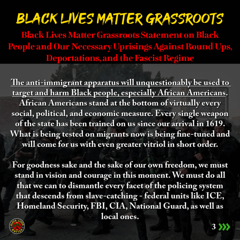 Statements-5-ICE RAIDS 2